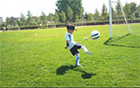 football.sanadata.com